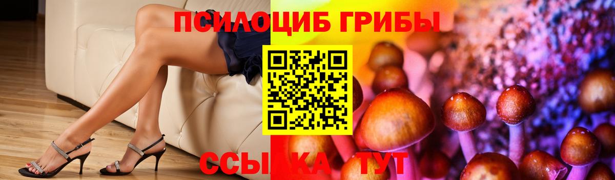 Псилоцибиновые грибы GOLDEN TEACHER Можайск